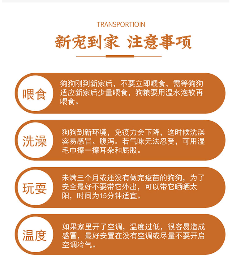 未标题-1_12.jpg