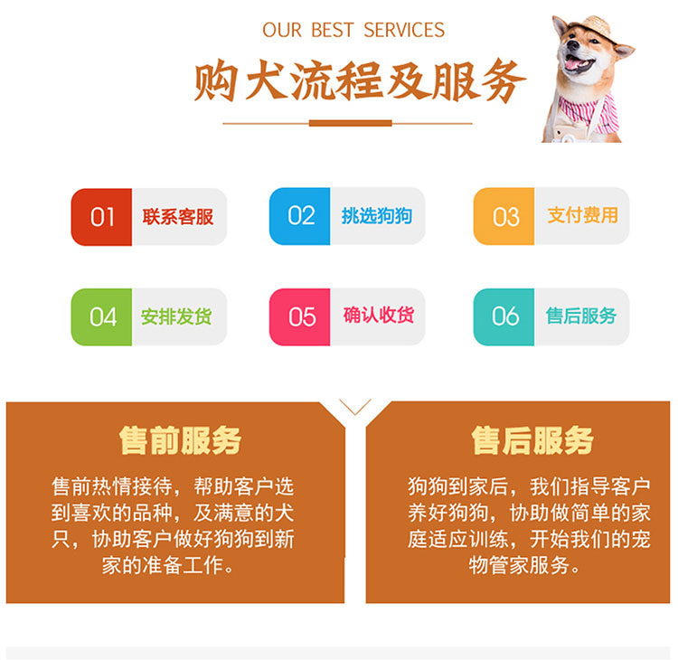 未标题-1_10.jpg